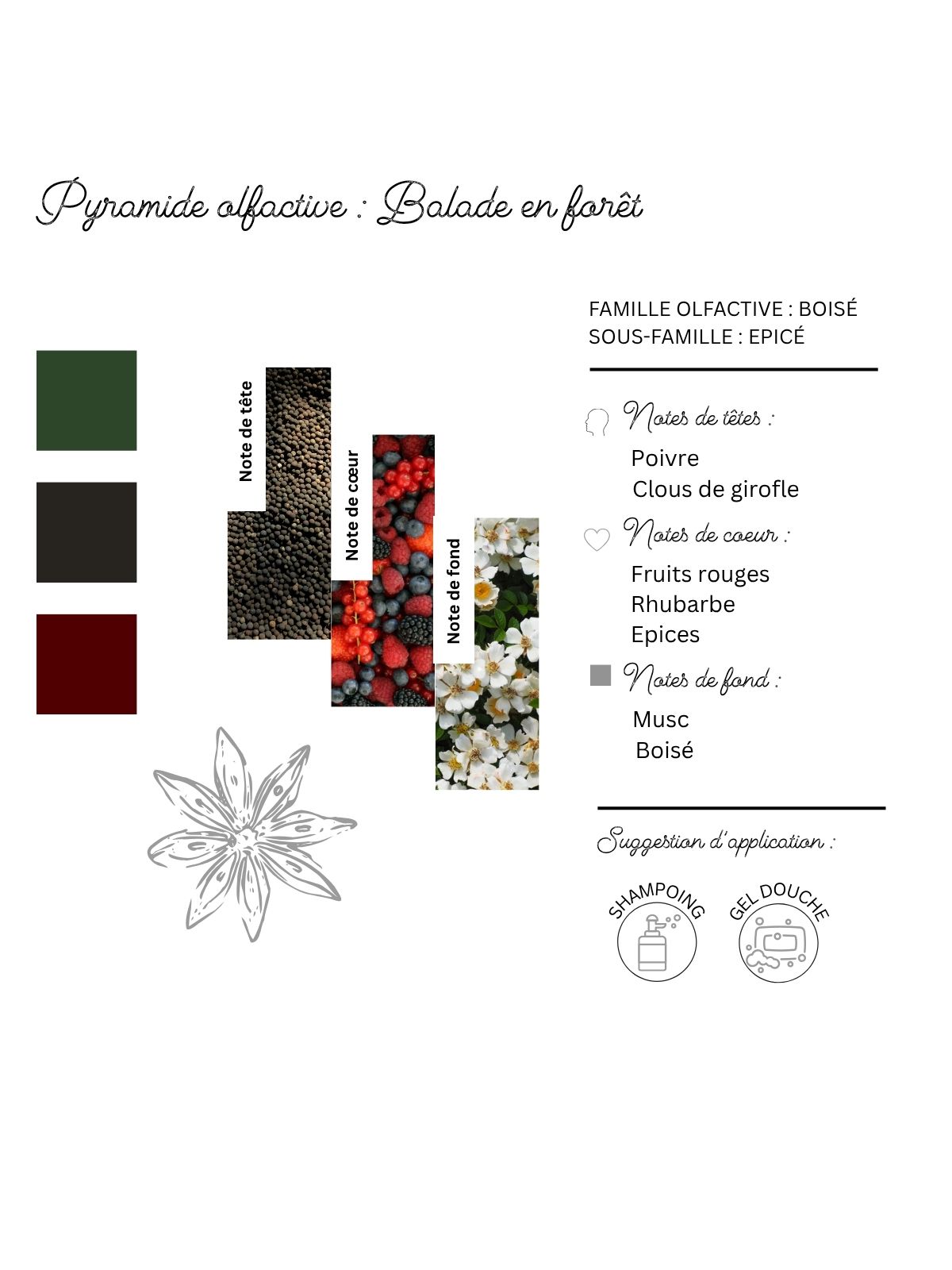 gel-douche-ed-balade-en-forecirc;t--bois-eacute;piceacute;-